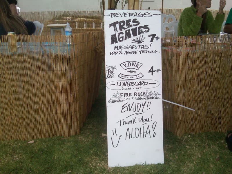 Aloha Beach Festival 2010 photo 14