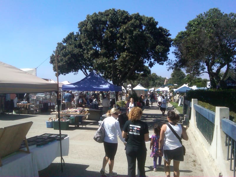 Aloha Beach Festival 2010 photo 20