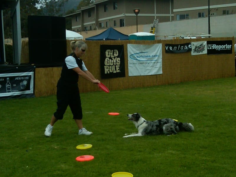 Aloha Beach Festival 2011 photo 28