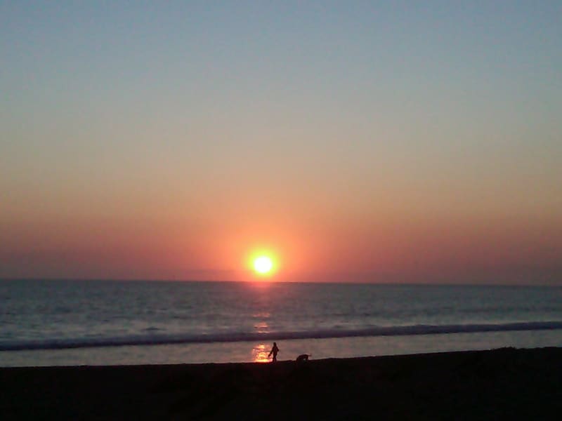 Aloha Beach Festival 2011 photo 47