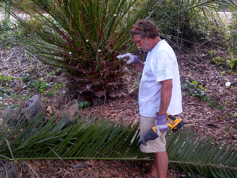 Aloha Beach Festival 2012 photo 12