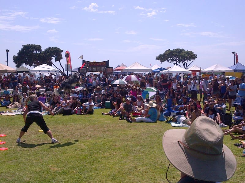 Aloha Beach Festival 2012 photo 25